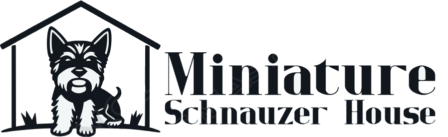Miniature Schnauzer House- Schnauzer Puppies for Adoption